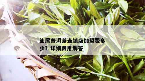 汕尾普洱茶连锁店加盟费多少？详细费用解答