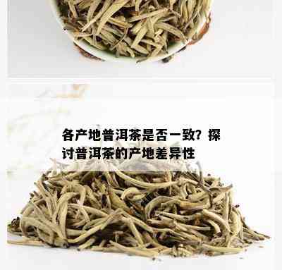 各产地普洱茶是否一致？探讨普洱茶的产地差异性