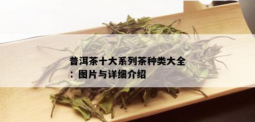 普洱茶十大系列茶种类大全：图片与详细介绍