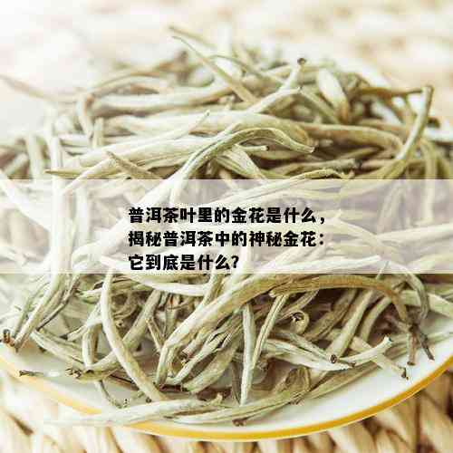 普洱茶叶里的金花是什么，揭秘普洱茶中的神秘金花：它到底是什么？