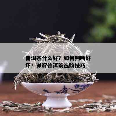 普洱茶什么好？如何判断好坏？详解普洱茶选购技巧