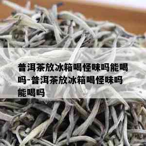 普洱茶放冰箱喝怪味吗能喝吗-普洱茶放冰箱喝怪味吗能喝吗