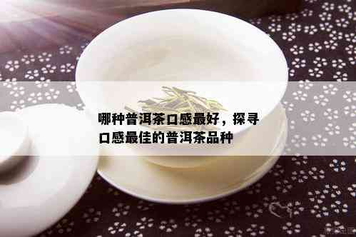 哪种普洱茶口感更好，探寻口感更佳的普洱茶品种