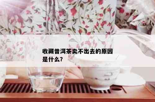 收藏普洱茶卖不出去的原因是什么？