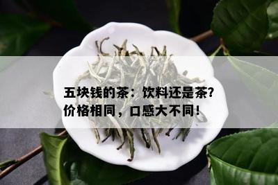 五块钱的茶：饮料还是茶？价格相同，口感大不同！