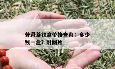 普洱茶铁盒价格查询：多少钱一盒？附图片