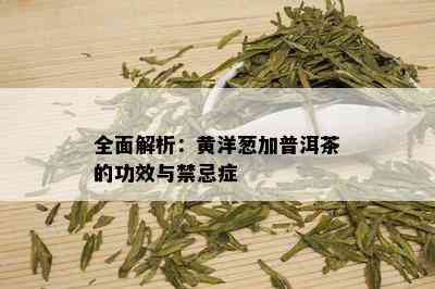 全面解析：黄洋葱加普洱茶的功效与禁忌症