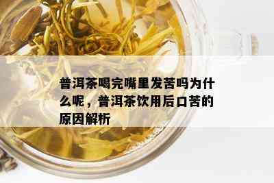 普洱茶喝完嘴里发苦吗为什么呢，普洱茶饮用后口苦的原因解析