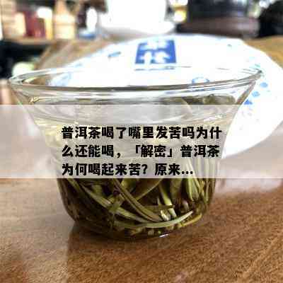 普洱茶喝了嘴里发苦吗为什么还能喝，「解密」普洱茶为何喝起来苦？原来...