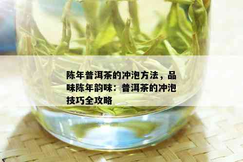 陈年普洱茶的冲泡方法，品味陈年韵味：普洱茶的冲泡技巧全攻略