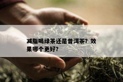 减脂喝绿茶还是普洱茶？效果哪个更好？