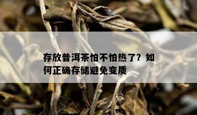 存放普洱茶怕不怕热了？如何正确存储避免变质