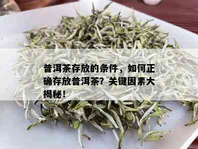 普洱茶存放的条件，如何正确存放普洱茶？关键因素大揭秘！