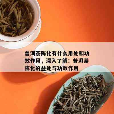 普洱茶陈化有什么用处和功效作用，深入了解：普洱茶陈化的益处与功效作用