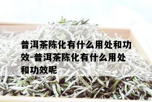 普洱茶陈化有什么用处和功效-普洱茶陈化有什么用处和功效呢