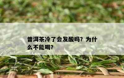 普洱茶冷了会发酸吗？为什么不能喝？