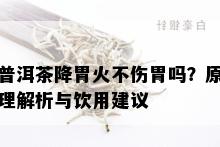 普洱茶降胃火不伤胃吗？原理解析与饮用建议