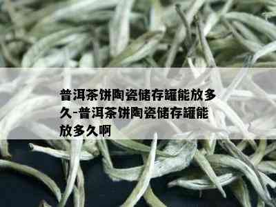 普洱茶饼陶瓷储存罐能放多久-普洱茶饼陶瓷储存罐能放多久啊