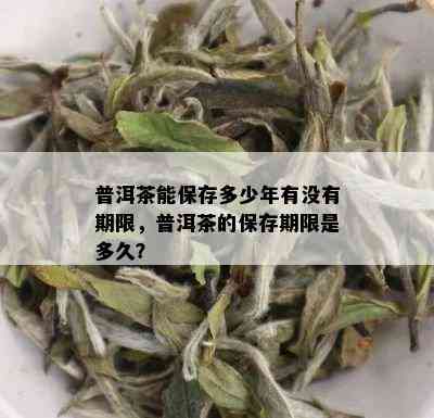 普洱茶能保存多少年有没有期限，普洱茶的保存期限是多久？