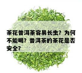 茶花普洱茶容易长虫？为何不能喝？普洱茶的茶花是否安全？