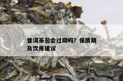 普洱茶包会过期吗？保质期及饮用建议