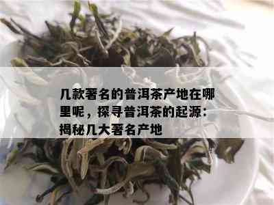 几款著名的普洱茶产地在哪里呢，探寻普洱茶的起源：揭秘几大著名产地