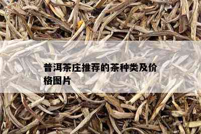 普洱茶庄推荐的茶种类及价格图片