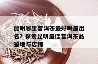 昆明哪里普洱茶更好喝最出名？探索昆明更佳普洱茶品鉴地与店铺