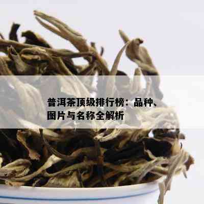 普洱茶顶级排行榜：品种、图片与名称全解析