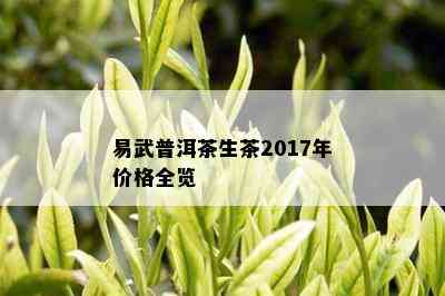 易武普洱茶生茶2017年价格全览