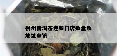 柳州普洱茶连锁门店数量及地址全览