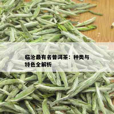 临沧最有名普洱茶：种类与特色全解析