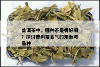 普洱茶中，哪种茶最香好喝？探讨普洱茶香气的来源与品种