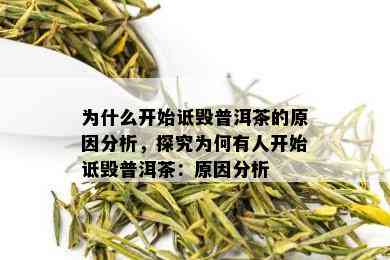 为什么开始诋毁普洱茶的原因分析，探究为何有人开始诋毁普洱茶：原因分析