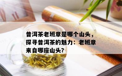 普洱茶老班章是哪个山头，探寻普洱茶的魅力：老班章来自哪座山头？