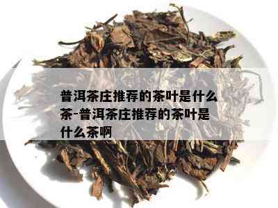 普洱茶庄推荐的茶叶是什么茶-普洱茶庄推荐的茶叶是什么茶啊