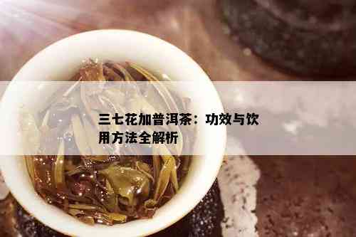 三七花加普洱茶：功效与饮用方法全解析