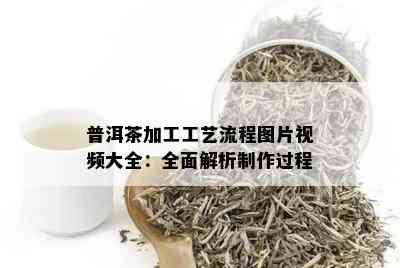 普洱茶加工工艺流程图片视频大全：全面解析制作过程