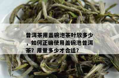 普洱茶用盖碗泡茶叶放多少，如何正确使用盖碗泡普洱茶？用量多少才合适？