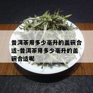 普洱茶用多少毫升的盖碗合适-普洱茶用多少毫升的盖碗合适呢