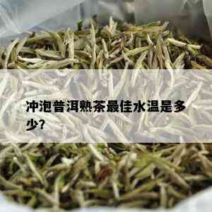 冲泡普洱熟茶更佳水温是多少？