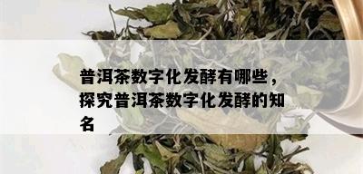 普洱茶数字化发酵有哪些，探究普洱茶数字化发酵的知名