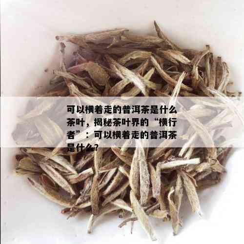 可以横着走的普洱茶是什么茶叶，揭秘茶叶界的“横行者”：可以横着走的普洱茶是什么？