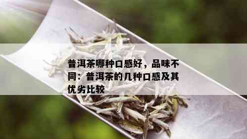 普洱茶哪种口感好，品味不同：普洱茶的几种口感及其优劣比较