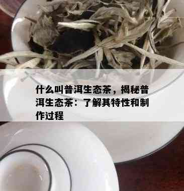 什么叫普洱生态茶，揭秘普洱生态茶：了解其特性和制作过程