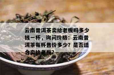 云南普洱茶卖给老板吗多少钱一杯，询问价格：云南普洱茶每杯售价多少？是否适合卖给老板？