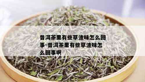 普洱茶里有些草渣味怎么回事-普洱茶里有些草渣味怎么回事啊