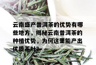 云南盛产普洱茶的优势有哪些地方，揭秘云南普洱茶的种植优势，为何这里能产出优质茶叶？