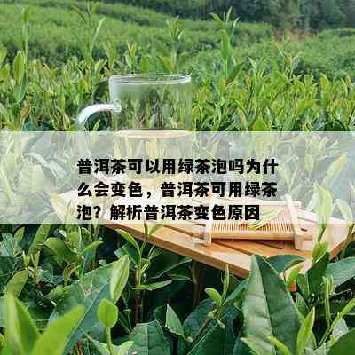 普洱茶可以用绿茶泡吗为什么会变色，普洱茶可用绿茶泡？解析普洱茶变色原因