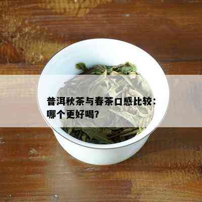 普洱秋茶与春茶口感比较：哪个更好喝？